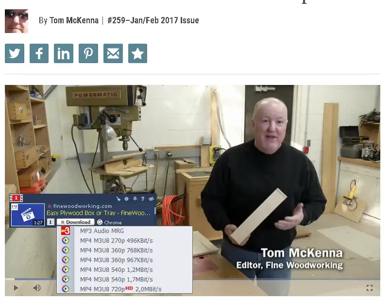 Ant Download Manager (AntDM) Video Box