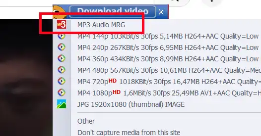 Ant Download Manager (AntDM) capture MP3 audio file